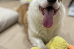 1E3CA16F-4529-46FF-BF3D-FD216673BC74-scaled