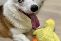 476BF83D-4532-4CA6-A977-B5C22C402D5F-scaled