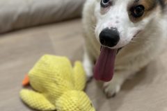 74138B2C-1512-4BF8-BE7A-D4E4CEA7E2DE-scaled