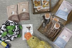 FC8629C4-C528-4DDC-810E-B18DD6AF8260-scaled